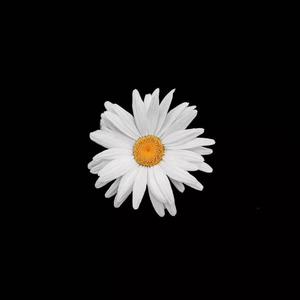 美女办公室坐脸调教视频VK
