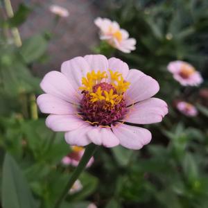 美女办公室坐脸调教视频VK
